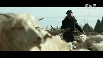 埃因霍温vs前进之鹰回放