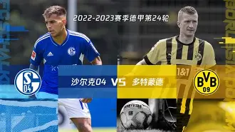 中心官方网站-沙尔克将在对阵多特蒙德的比赛中争胜一场
